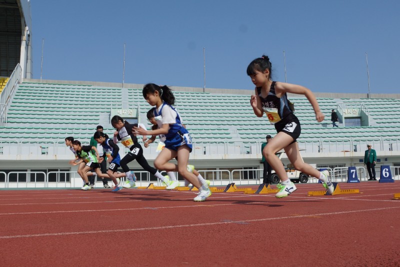5948bea82c622711f1d5f50eef50f2e4_1774921125_4698.JPG